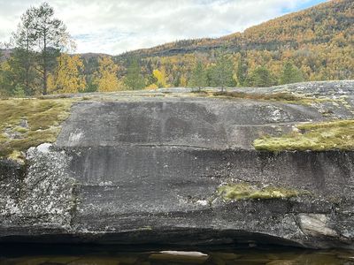 Tømmerneset rock carvings